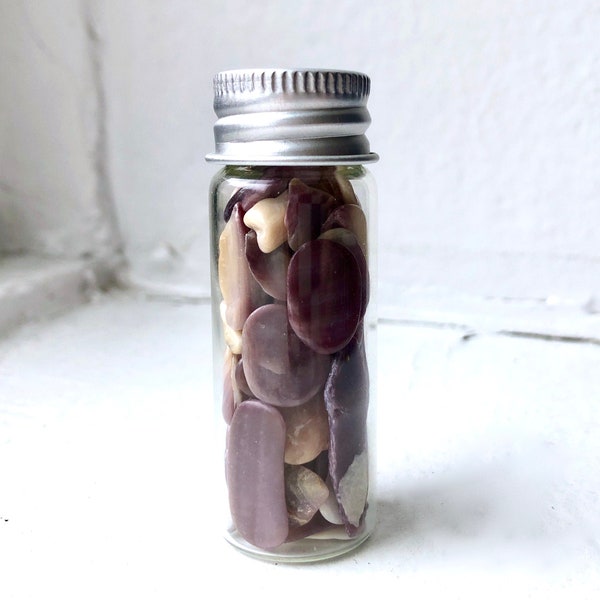 Polished Wampum Shells in Tiny Glass Bottle, Beach Decor, Wampum Shells, Miniature Art