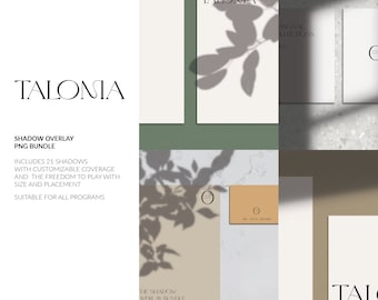 Shadow overlay scene Creator, PNG Backdrop Organic Botanical Clipart Mockup, Flowers branches leaves minimal shadows