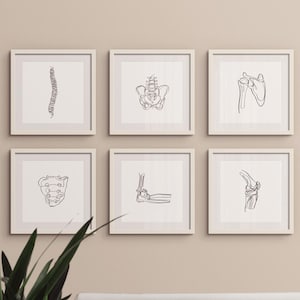 20 disegni di scheletri umani, set di arte murale medica, stampe artistiche di anatomia astratta stampabili, dipinti di linee chiropratiche, poster di schizzi di ossa