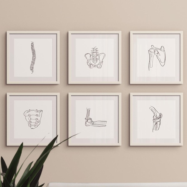 20 dibujos de esqueletos humanos, juego de arte médico para pared, impresiones de arte de anatomía abstracta para imprimir, pinturas de líneas quiroprácticas, carteles con bocetos de huesos