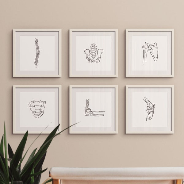 20 dibujos de esqueleto humano, conjunto de arte médico de pared, impresiones de arte de anatomía abstracta imprimibles, pinturas de líneas quiroprácticas, carteles de bocetos óseos