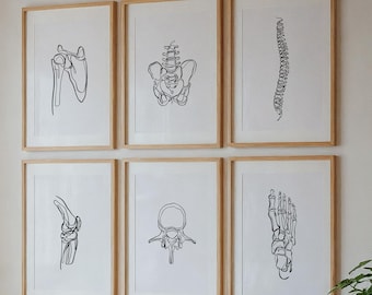 6 Human Bone Drawing Art Prints, Skeleton Wall Art Set, Minimal Medical Anatomy Art, Chiropractic Office Posters, Physical Therapy Paintings