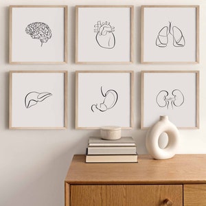 12 Abstrakte Organe Zeichnungen, Anatomie Poster zum Ausdrucken, Medizinische Kunstdrucke, Einfache Anatomische Skizzen