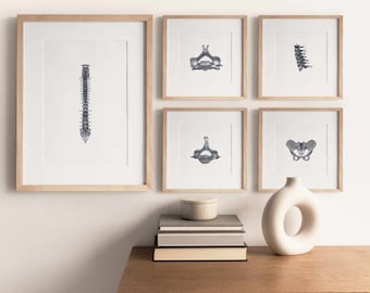 18 Xray Menschliches Skelett Zeichnungen, Anatomie druckbare Wandkunst Set, Abstrakte Skelett Skizzen Bündel, Medizinische Poster Illustrationen, Bürokunst