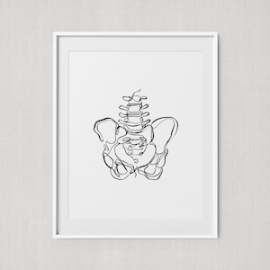 Pintura abstrata da linha da pelve, ilustração óssea de uma linha, arte de parede imprimível de quiropraxia, impressão de arte médica, pôster de anatomia minimalista