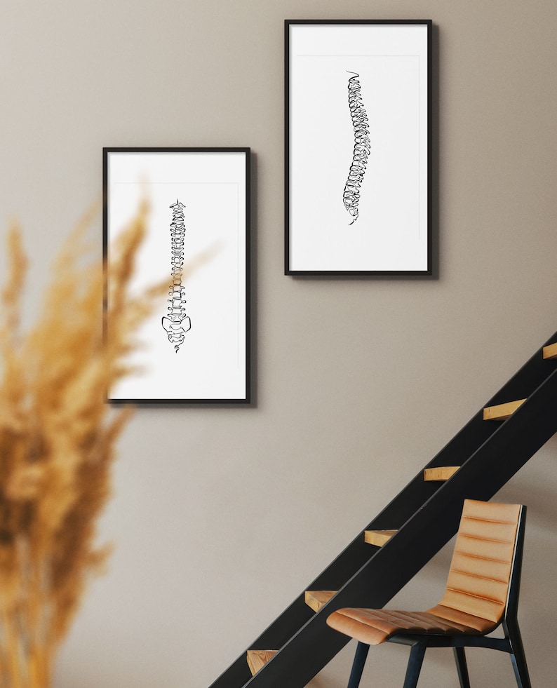 20 tekeningen menselijk skelet, medische muurkunstset, afdrukbare abstracte anatomische kunstprints, lijntekeningen chiropractie, botschetsposters afbeelding 5