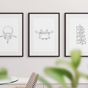 20 tekeningen menselijk skelet, medische muurkunstset, afdrukbare abstracte anatomische kunstprints, lijntekeningen chiropractie, botschetsposters afbeelding 2