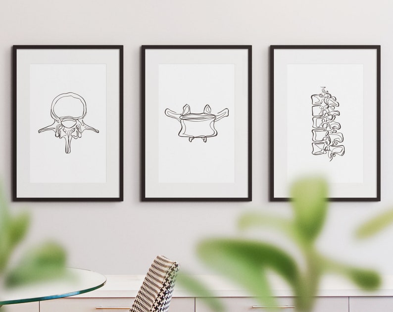 20 tekeningen menselijk skelet, medische muurkunstset, afdrukbare abstracte anatomische kunstprints, lijntekeningen chiropractie, botschetsposters afbeelding 2