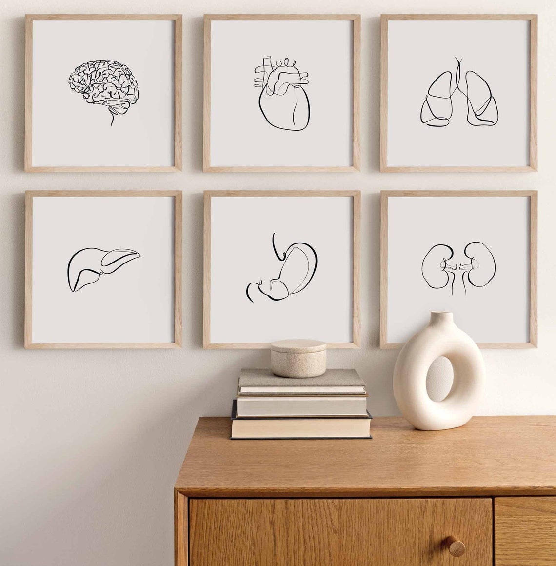 12 Abstract Human Organ Drawings Anatomy Printable Wall Art - Etsy