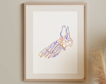 Abstract Skeleton Foot Painting, Anatomy Printable Art Print, Chiropractor Line Art, Colorful Medical Artwork, Human Skeleton Drawing, Decor