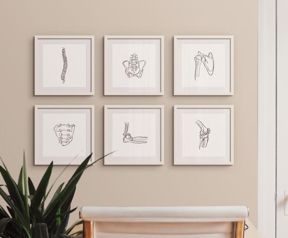 20 Human Skeleton Drawings, Medical Wall Art Set, Printable Abstract Anatomy Art Prints, Chiropractic Line Paintings, Bone Sketch Posters