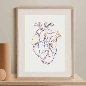 Anatomische Herz Linie Malerei, Anatomie druckbare Wandkunst, abstrakte medizinische Kunst Poster, Orgel Umriss Illustration, minimalistische Kunstdruck