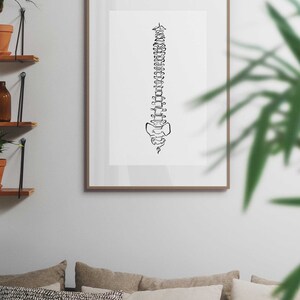 20 tekeningen menselijk skelet, medische muurkunstset, afdrukbare abstracte anatomische kunstprints, lijntekeningen chiropractie, botschetsposters afbeelding 4