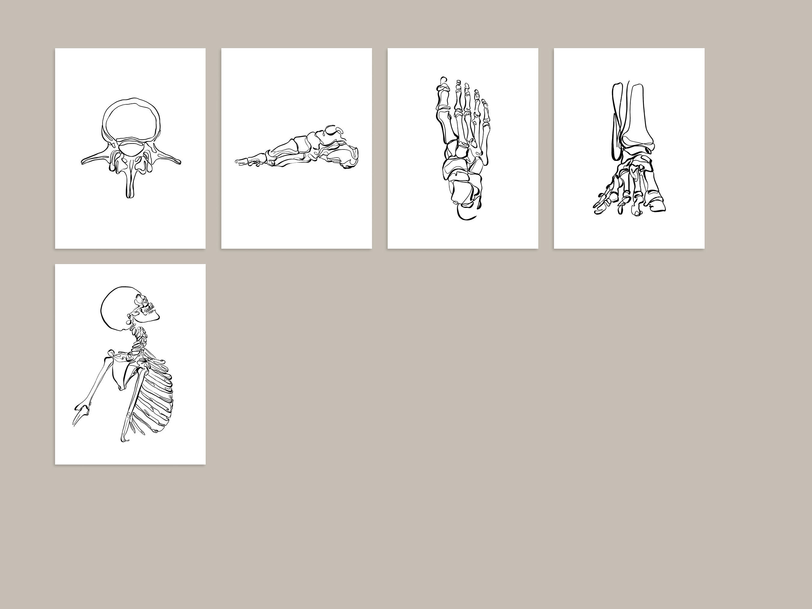20 Human Skeleton Drawings Medical Wall Art Set Printable | Etsy India