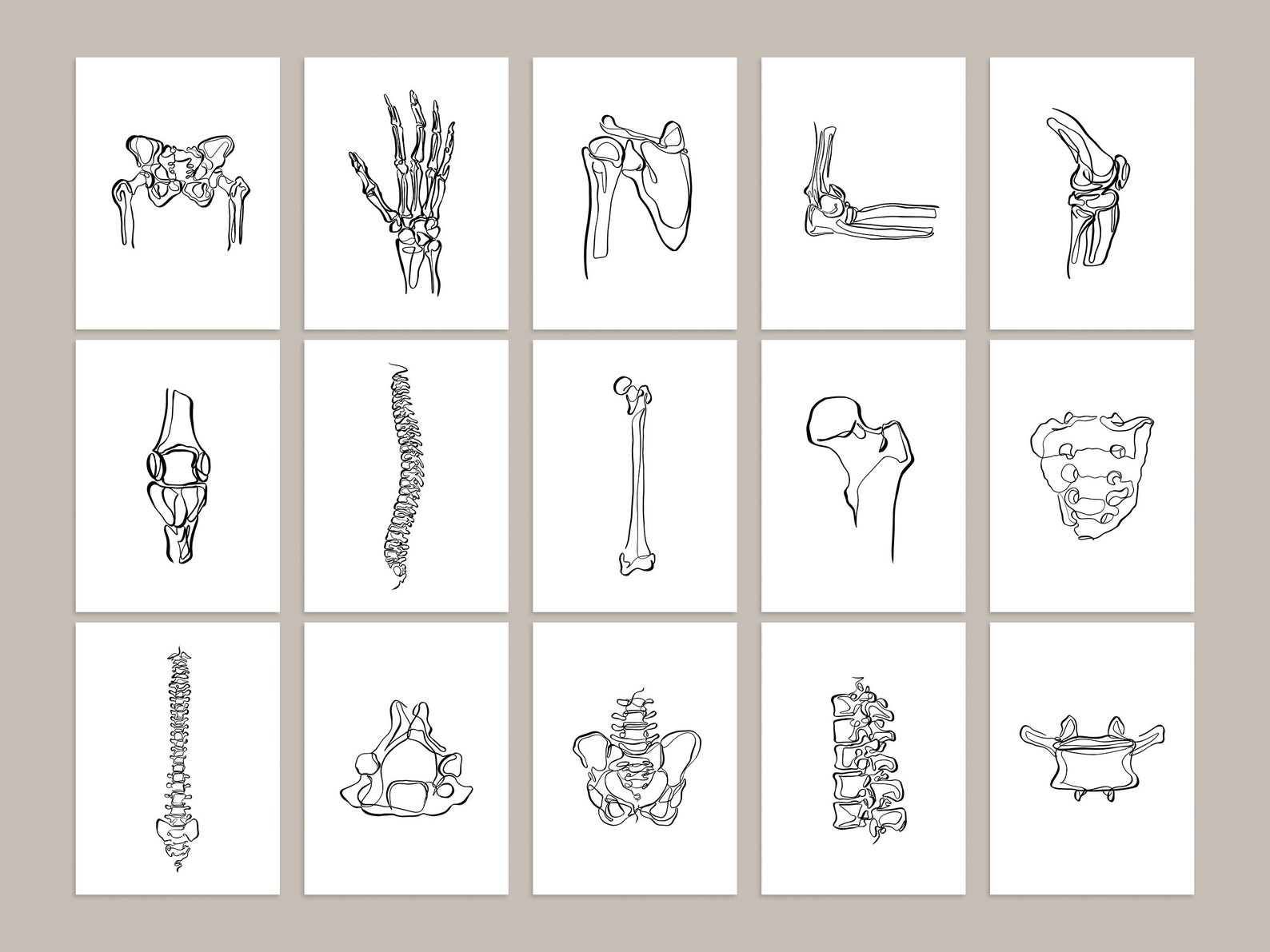 20 Human Skeleton Drawings Medical Wall Art Set Printable | Etsy