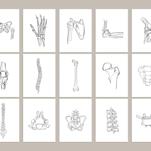 20 tekeningen menselijk skelet, medische muurkunstset, afdrukbare abstracte anatomische kunstprints, lijntekeningen chiropractie, botschetsposters afbeelding 7