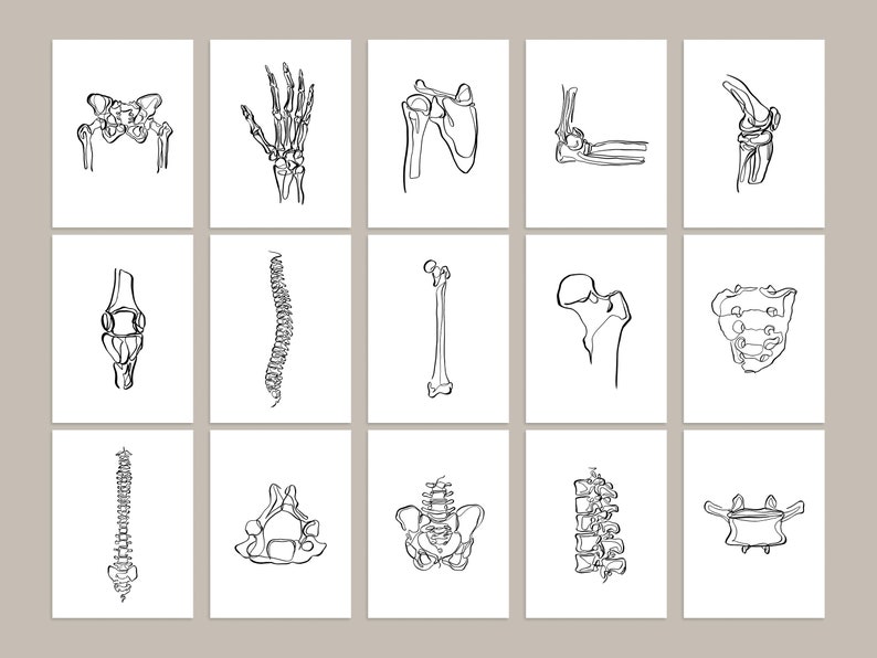 20 tekeningen menselijk skelet, medische muurkunstset, afdrukbare abstracte anatomische kunstprints, lijntekeningen chiropractie, botschetsposters afbeelding 7
