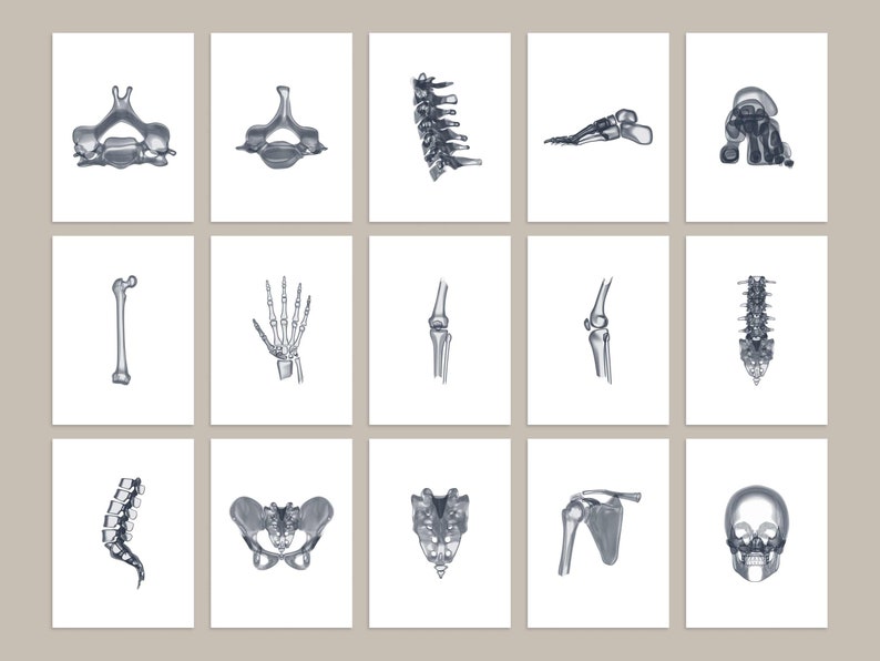 18 Xray Human Skeleton Drawings, Anatomy Printable Wall Art Set ...