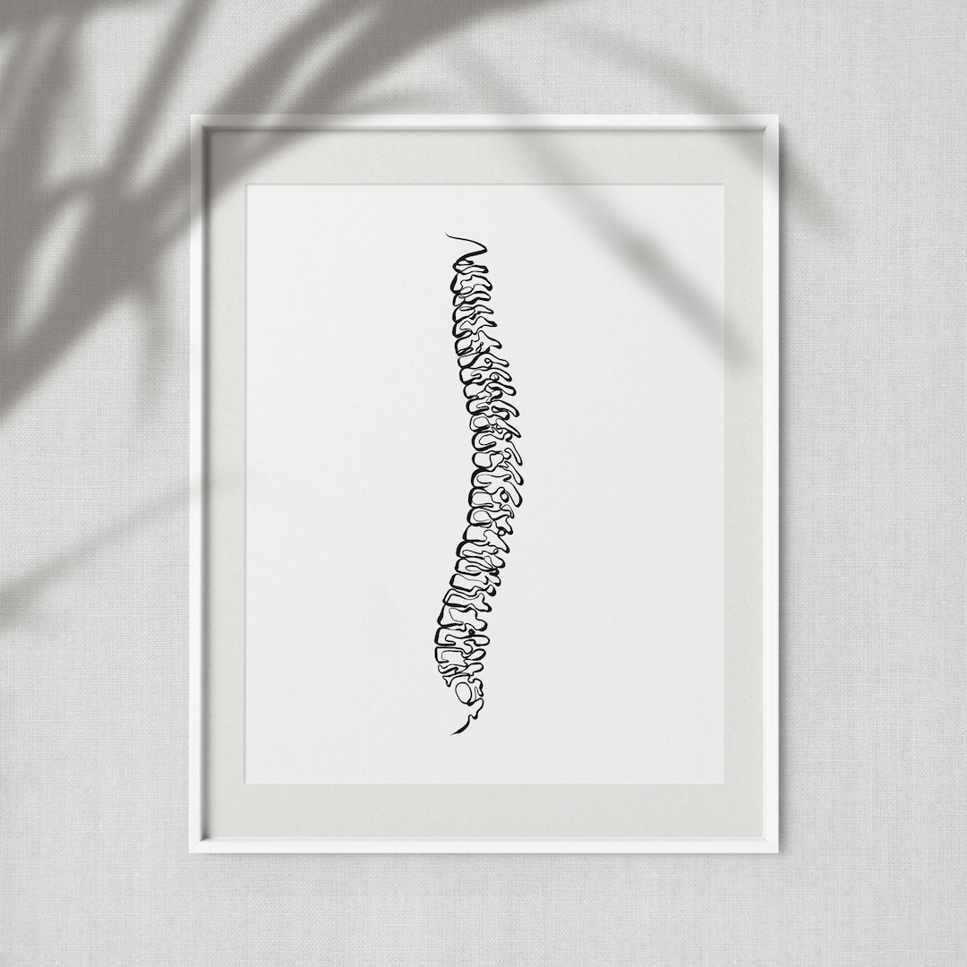 Abstract Spine Line Painting, One Line Spinal Art Print, Chiropractic ...