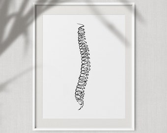 Lumbar Spine Vertebra | Line Vertebrae Human Anatomy Minimal Abstract ...