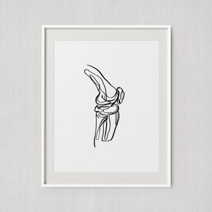 Ilustración abstracta de rodilla, arte óseo articular de ligamentos, arte de línea médica, arte de pared imprimible quiropráctico, póster de masajista, arte clínico