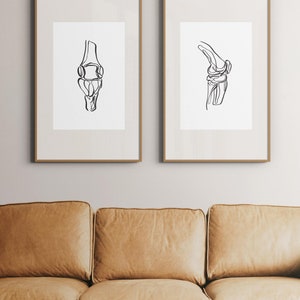 20 tekeningen menselijk skelet, medische muurkunstset, afdrukbare abstracte anatomische kunstprints, lijntekeningen chiropractie, botschetsposters afbeelding 3