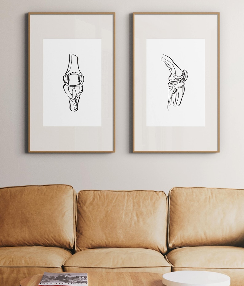 20 tekeningen menselijk skelet, medische muurkunstset, afdrukbare abstracte anatomische kunstprints, lijntekeningen chiropractie, botschetsposters afbeelding 3