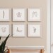 20 Human Skeleton Drawings, Medical Wall Art Set, Printable Abstract Anatomy Art Prints, Chiropractic Line Paintings, Bone Sketch Posters 