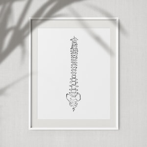May include: A black and white line drawing of the human spine, framed in a white frame.