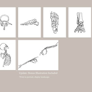 20 tekeningen menselijk skelet, medische muurkunstset, afdrukbare abstracte anatomische kunstprints, lijntekeningen chiropractie, botschetsposters afbeelding 8