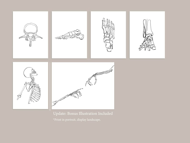 20 tekeningen menselijk skelet, medische muurkunstset, afdrukbare abstracte anatomische kunstprints, lijntekeningen chiropractie, botschetsposters afbeelding 8