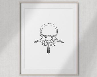 Lumbar Spine Vertebra | Line Vertebrae Human Anatomy Minimal Abstract ...