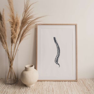 18 Xray Human Skeleton Drawings, Anatomy Printable Wall Art Set ...
