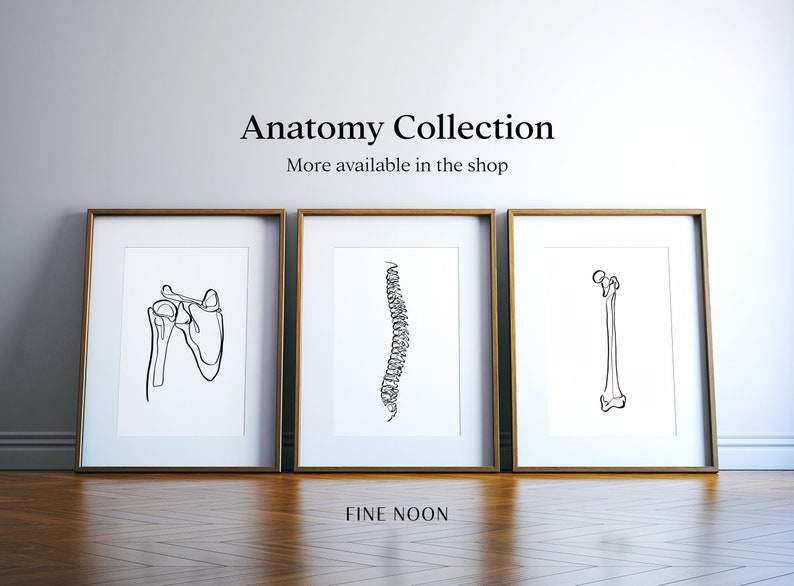 Spine Vertebra Bone Printable Human Anatomy Art Print | Etsy