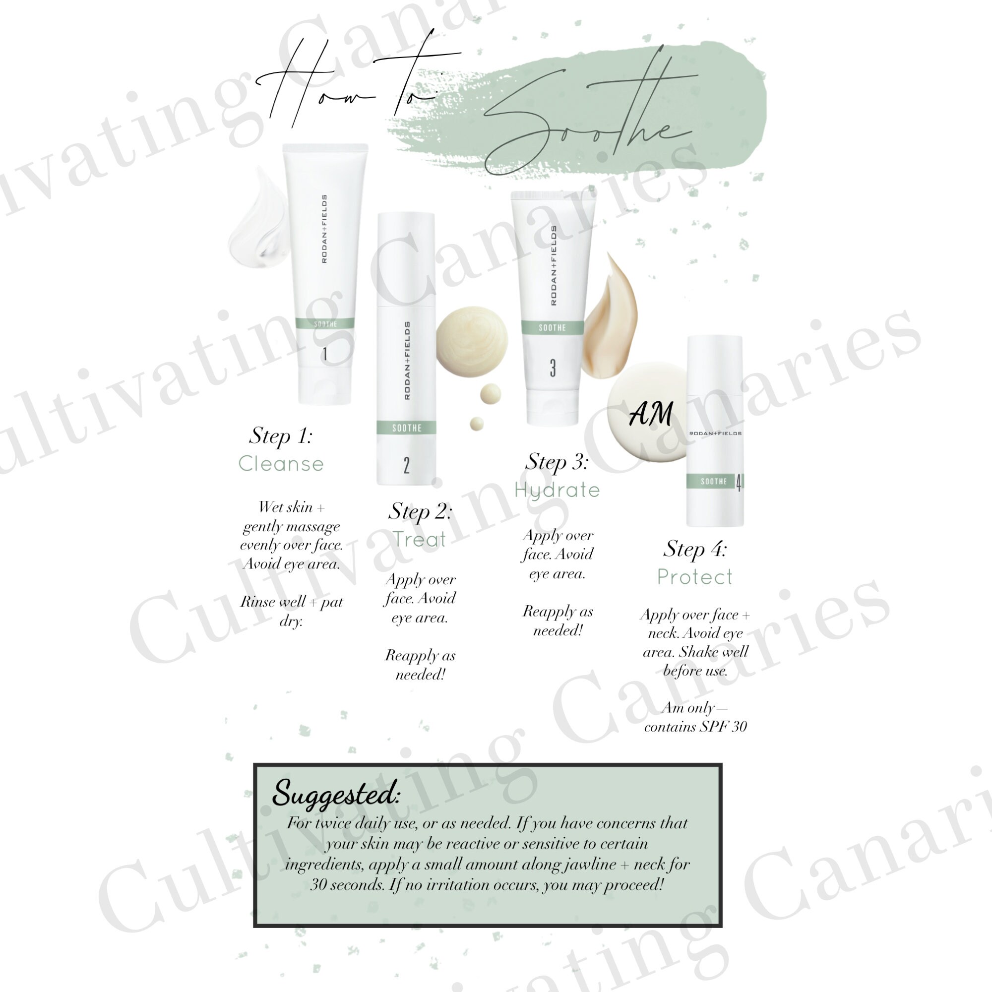 Regimen Revolution How to Rodan Fields 5 Core Regimens Digital Download ...