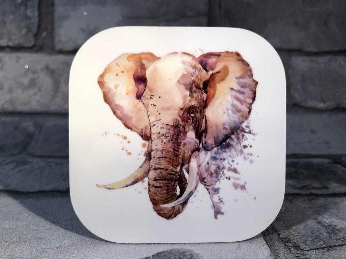 Coasters South Africas Big Five Coasters 5 Coasters 9x9cm Etsy UK