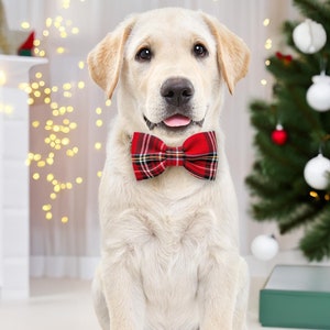 May include: A light yellow Labrador puppy wearing a red and black plaid bow tie. The dog is sitting in front of a Christmas tree with white and red ornaments. A green box sits on the floor. The background includes a fireplace and string lights.