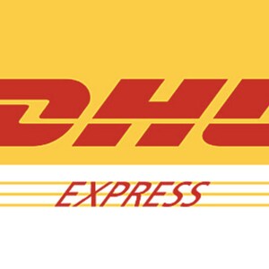 Express Delivery Shipping Upgrade
