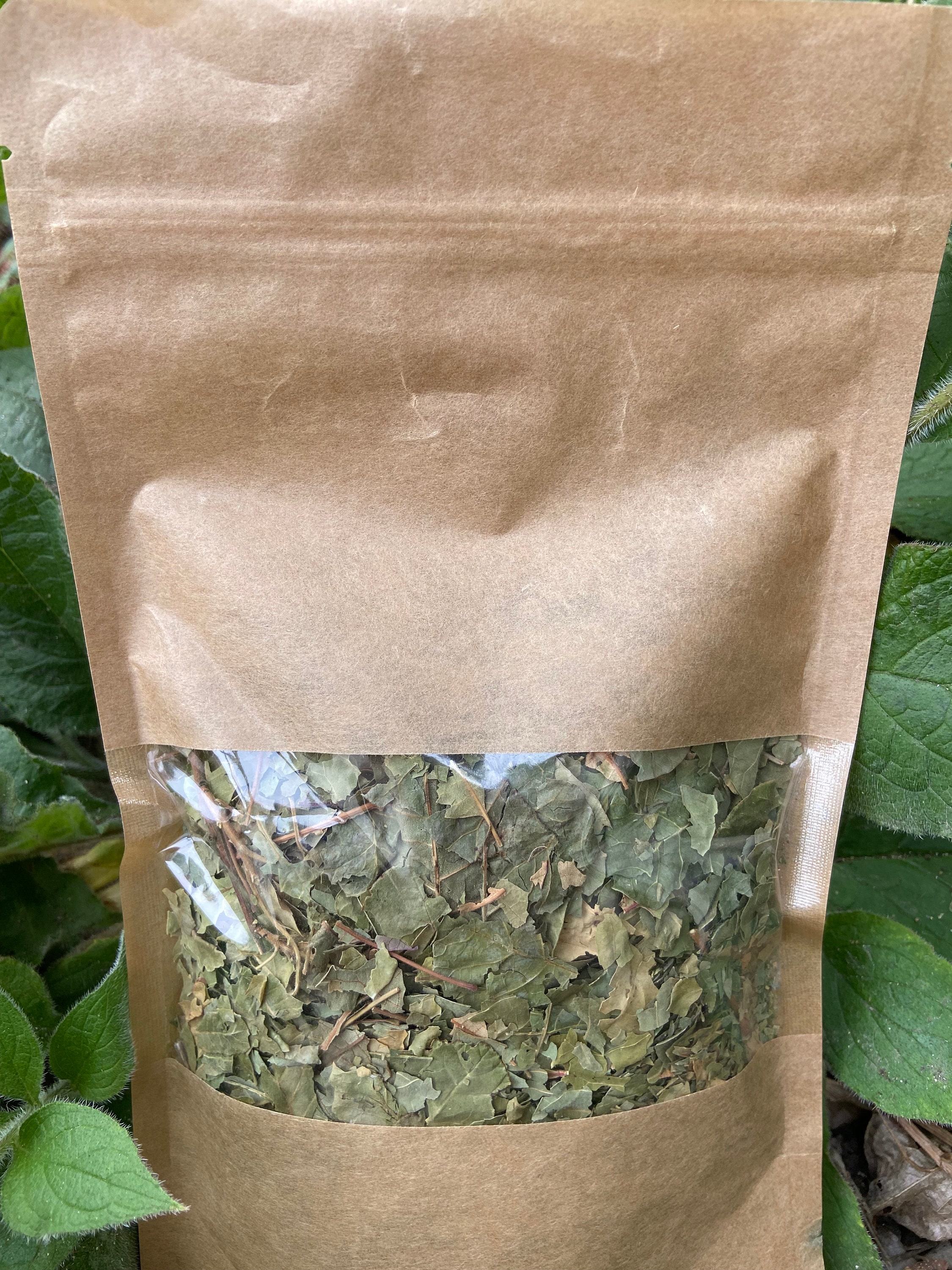 Smoke Tree Sumac Cotinus Coggygria Scop Herb Tea Herbal Etsy UK