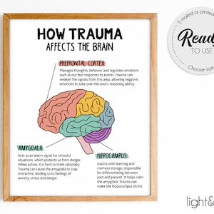 Cómo el trauma afecta al cerebro, cartel del cerebro humano, cartel de anatomía cerebral, cartel de psicología, cartel de salud mental, decoración de la oficina de terapia, TCC