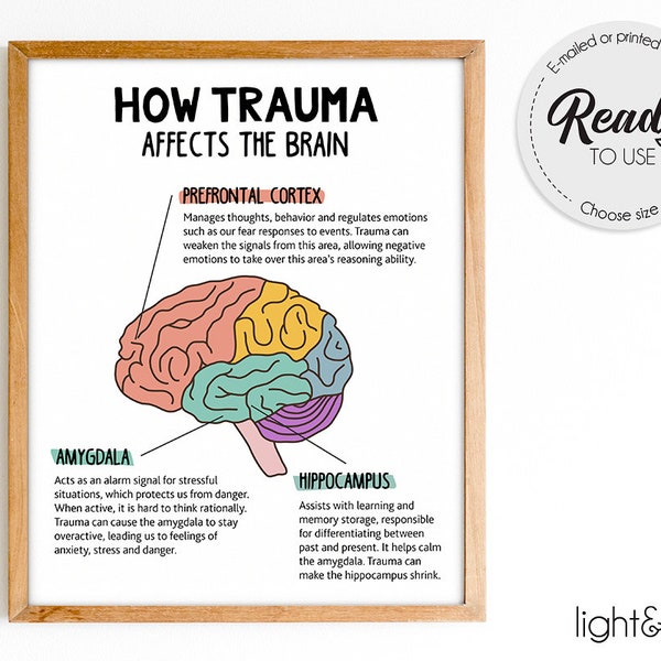 Come il trauma colpisce il cervello, poster del cervello umano, poster di anatomia cerebrale, poster di psicologia, poster di salute mentale, arredamento per ufficio terapeutico, CBT