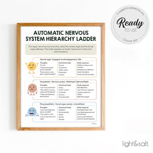 Automatic Nervous system poster, Polyvagal theory, Hierarchy, polyvagal ladder, Human Brain, Mental health poster, Therapy Office Decor