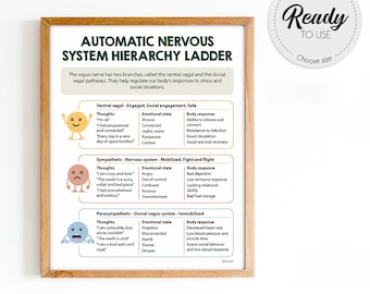 Automatic Nervous system poster, Polyvagal theory, Hierarchy, polyvagal ladder, Human Brain, Mental health poster, Therapy Office Decor