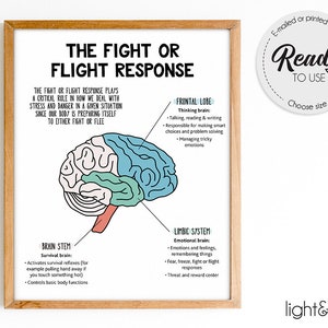 The fight or flight response to the brain, Brain anatomy, Psychology, Therapy poster, Mental health poster, Counselor office decor, DBT