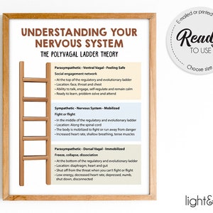 Nervous system poster, Polyvagal theory, polyvagal ladder, Human Brain poster, Mental health poster, Therapy Office Decor, Counseling office