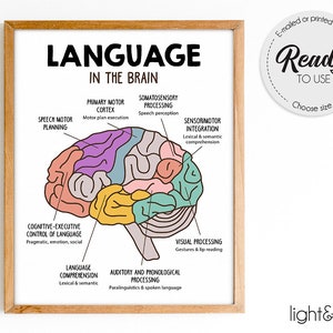 Language in the brain poster, SLP poster, speech therapy room decor, Speech Therapy, Pathologist Gift, speech pathology, speech therapy