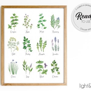 Herbs and Spices Watercolor Kitchen Wall Art Poster, Botanical chart, Printable Kitchen Art, Botanical print, Kitchen Prints, plant gift