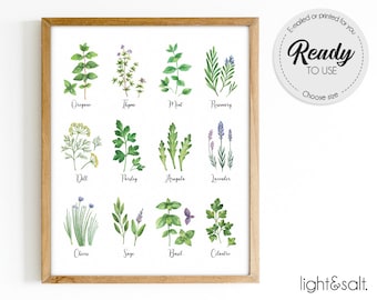 Herbs and Spices Watercolor Kitchen Wall Art Poster, Botanical chart, Printable Kitchen Art, Botanical print, Kitchen Prints, plant gift