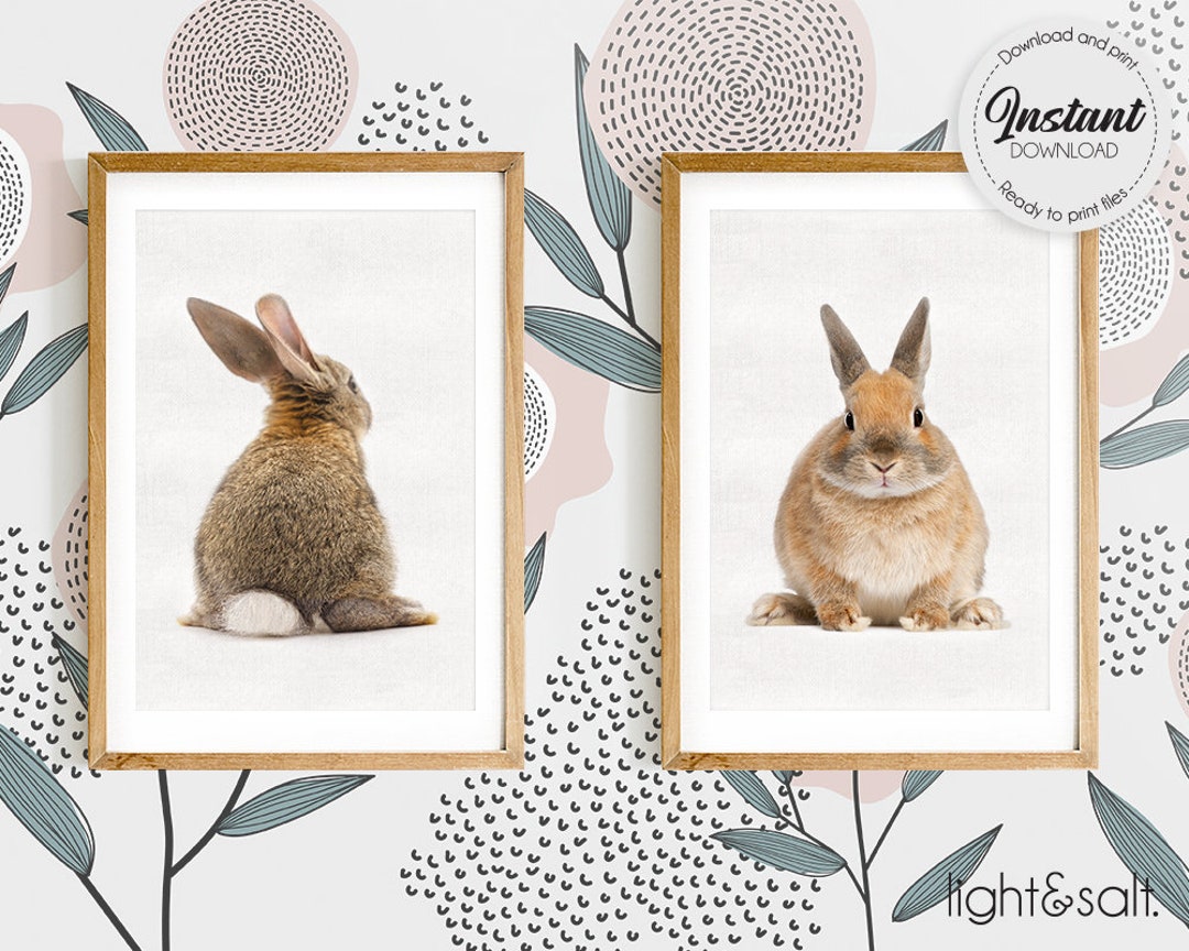 Small Rabbit Print Rabbit Nursery Print, Bunny Tail, Woodland Wall Art (digital Download ...
