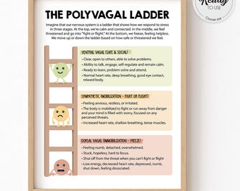 May include: A printable poster with a ladder illustration depicting the polyvagal nervous system. The poster includes text describing the three stages of the polyvagal nervous system: ventral vagal, sympathetic, and dorsal vagal. The poster is in a light brown frame.